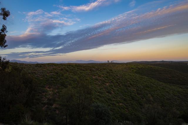 Detail Gallery Image 49 of 63 For 10737 Birch Bluff Ave, San Diego,  CA 92131 - 4 Beds | 3/1 Baths