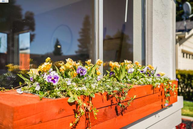 Image 4 of 53 For 4138 Bishop Pine Way