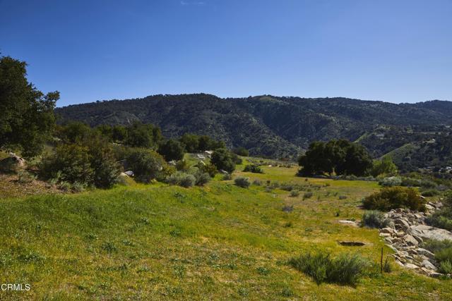 Detail Gallery Image 43 of 48 For 12179 Koenigstein Rd, Santa Paula,  CA 93060 - 3 Beds | 2 Baths
