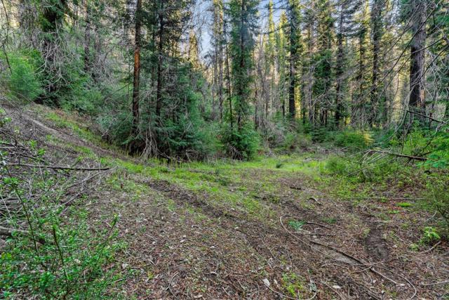 21200 Big Basin Way, Boulder Creek CA: https://media.crmls.org/mediaz/80ff4d0e-0217-408c-a9a1-6e6f89e2a369.jpg