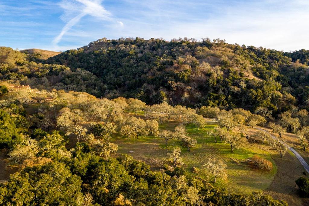 MLS #ML81962684 image #5