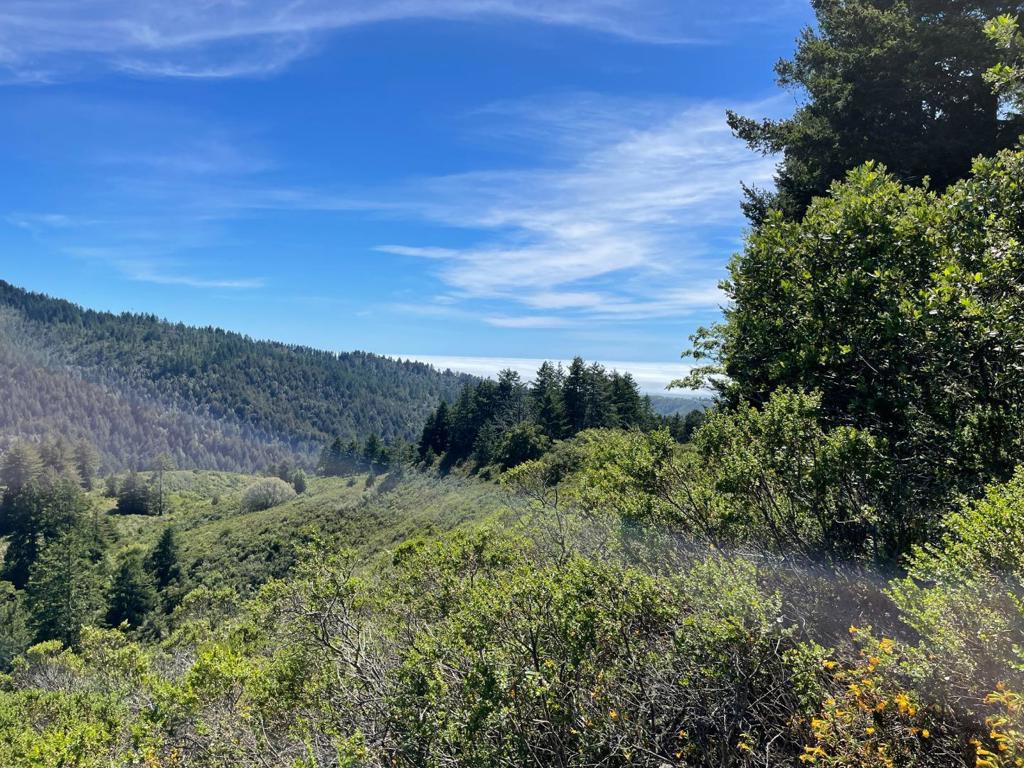 MLS #ML81979482 image #21