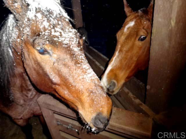 Detail Gallery Image 47 of 75 For 3413 Fern Meadow Rd, Palomar Mountain,  CA 92060 - 3 Beds | 3/1 Baths