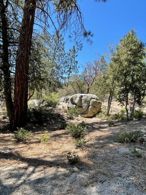 0 Northridge, Idyllwild CA: https://media.crmls.org/mediaz/8126c314-74cf-4225-acf9-c44aa74414de.jpg