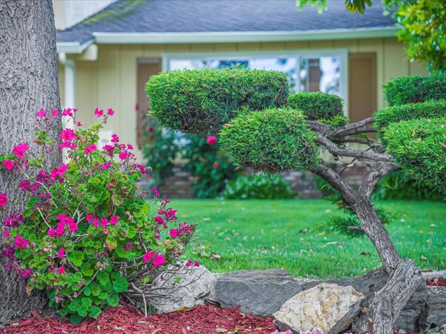 651 Starbush Drive, Sunnyvale CA: https://media.crmls.org/mediaz/812a6391-8a01-4fbd-9617-d6c08da22e77.jpg