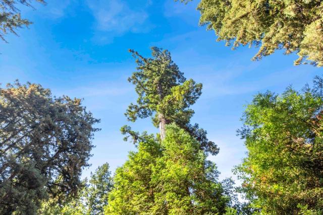 22370 Old Santa Cruz Highway, Los Gatos CA: https://media.crmls.org/mediaz/8139b66a-1683-47ed-b765-ac7dc08565e1.jpg