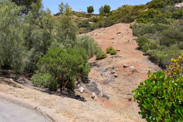 0 Calle Mia, Alpine CA: https://media.crmls.org/mediaz/813f0e6e-74a1-428e-b155-4a9e00dcda19.jpg