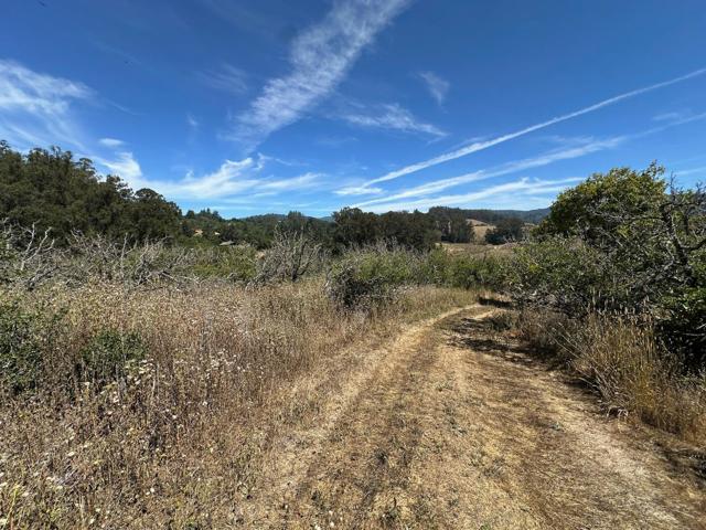 0 Sans Road, Corralitos CA: https://media.crmls.org/mediaz/8146ab0e-96ae-4556-8612-7ee7375a8031.jpg