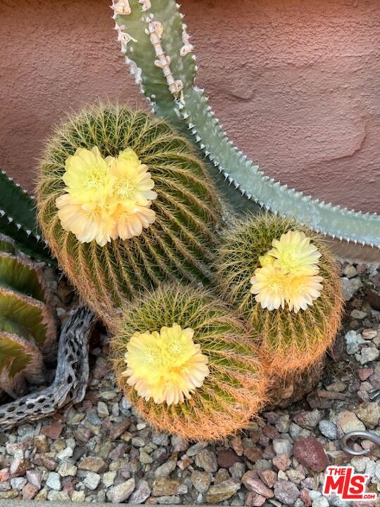 931 S Ogden Drive, Los Angeles CA: https://media.crmls.org/mediaz/8146d05e-931d-42cf-aaca-467716c7be55.jpg