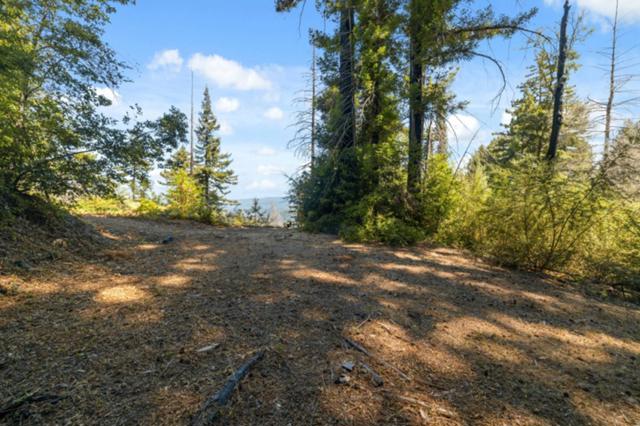 2472 Fanning Grade, Ben Lomond CA: https://media.crmls.org/mediaz/8149d4e5-ab16-4897-ba46-bb4bab0032b9.jpg