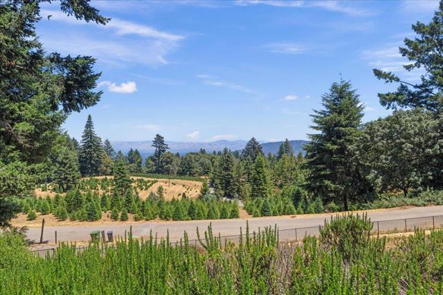 19960 Skyline Boulevard, Los Gatos CA: https://media.crmls.org/mediaz/81505218-260b-465a-9a1b-0d461da47008.jpg