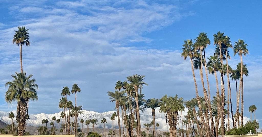 MLS #219138742DA image #31