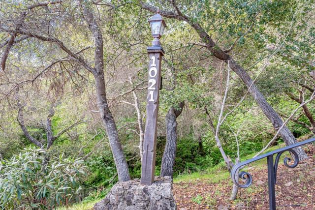 1021 Merner Road, Hillsborough CA: https://media.crmls.org/mediaz/8155c222-81ae-4a72-a247-ae0c73fec6a6.jpg