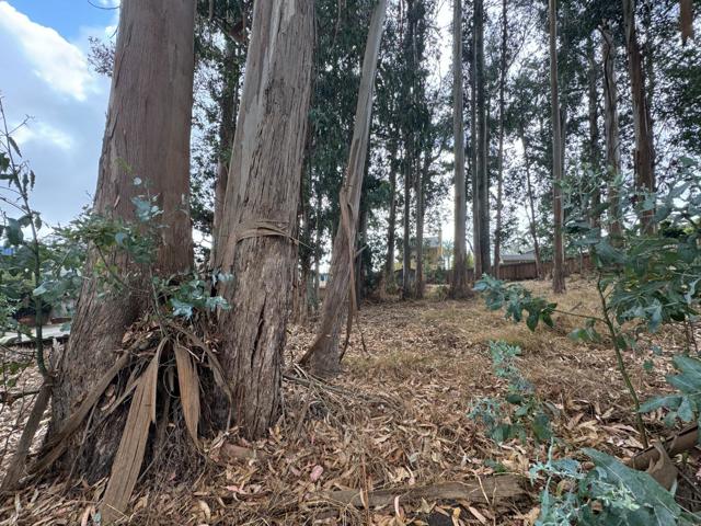 0 The Alameda, El Granada CA: https://media.crmls.org/mediaz/8161fb7f-50c6-4632-bb2e-3c5c526dfa57.jpg