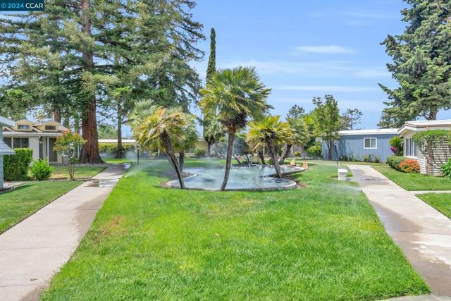 1053 Peralta Road, Concord, California 94520, 2 Bedrooms Bedrooms, ,2 BathroomsBathrooms,Residential,For Sale,Peralta Road,41060734