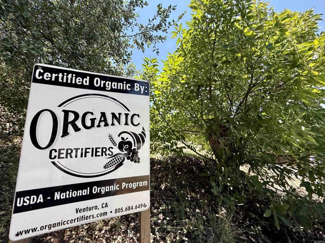 3160 Slivkoff Drive, Escondido CA: https://media.crmls.org/mediaz/81698ca3-2148-4d13-8b27-6e0786079867.jpg