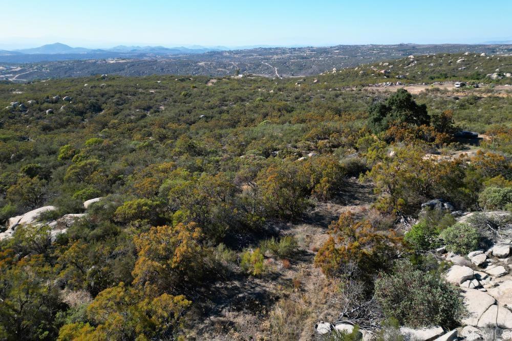 MLS #PTP2507282 image #40