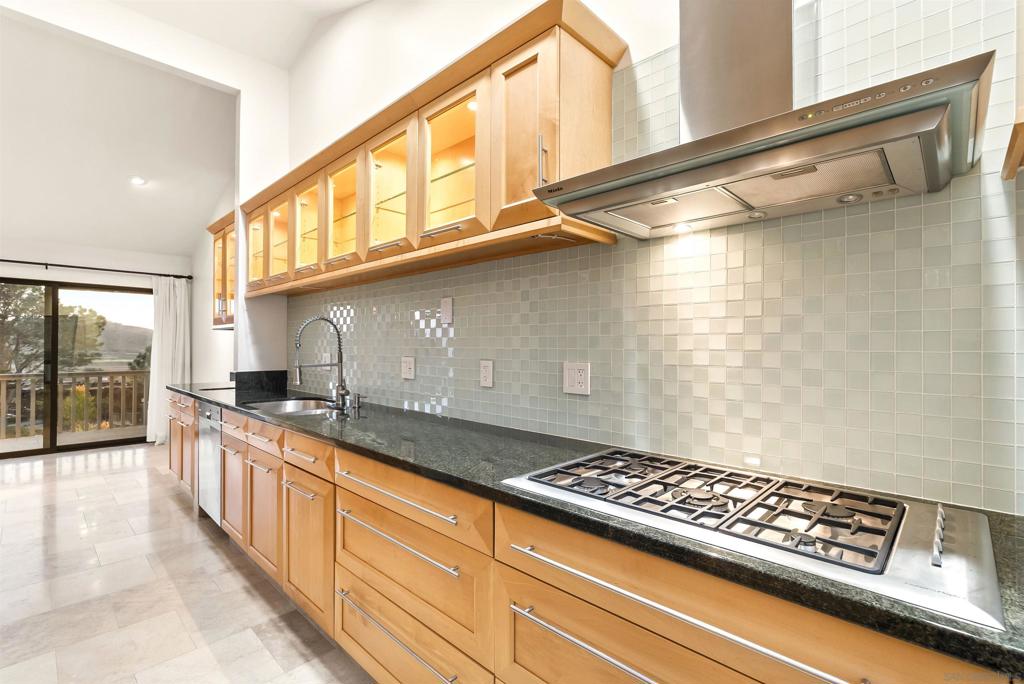 13024 Caminito Mar Villa