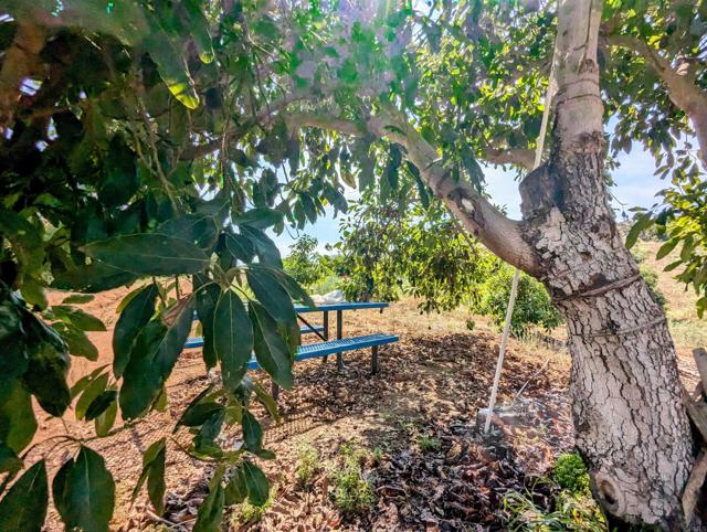 Detail Gallery Image 28 of 32 For 0 Couser Canyon Rd, Valley Center,  CA 92082 - – Beds | – Baths