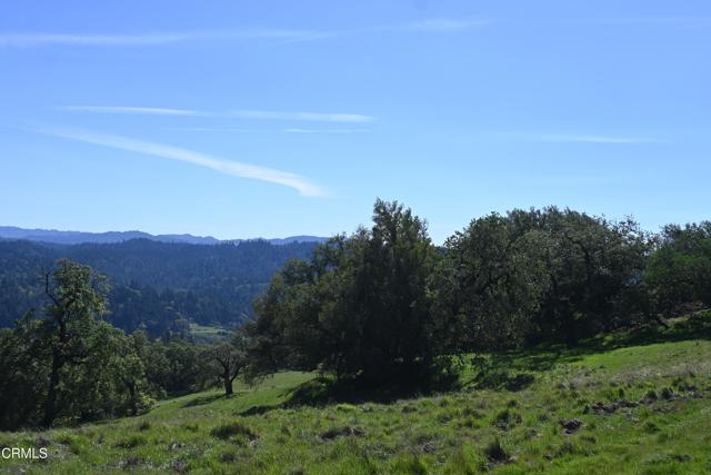 Detail Gallery Image 29 of 59 For 24051 Fig Tree Ln, Yorkville,  CA 95494 - – Beds | – Baths