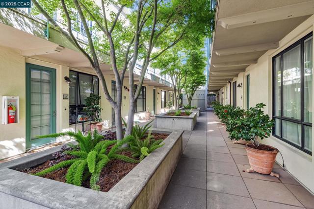 4395 Piedmont Ave, Oakland CA: https://media.crmls.org/mediaz/818cc2b5-c88d-4181-9b54-9d0f6ff92f0d.jpg