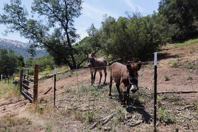 0 Camino Estribo, Temecula CA: https://media.crmls.org/mediaz/81b06820-4214-4691-93f3-24bd0c0f3f24.jpg