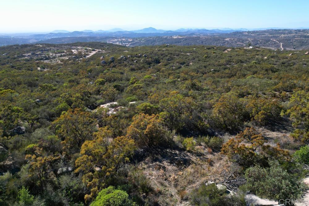 MLS #PTP2507282 image #39