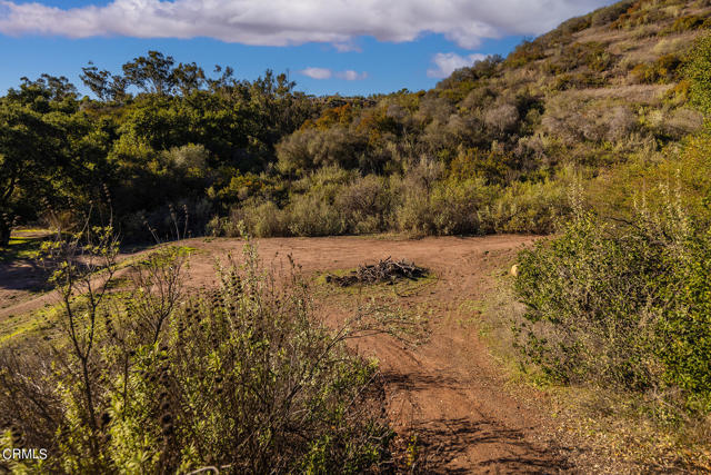 380 Valley View Road, Ojai CA: https://media.crmls.org/mediaz/81b1d75f-bf0d-44f0-96b2-e92851cda621.jpg