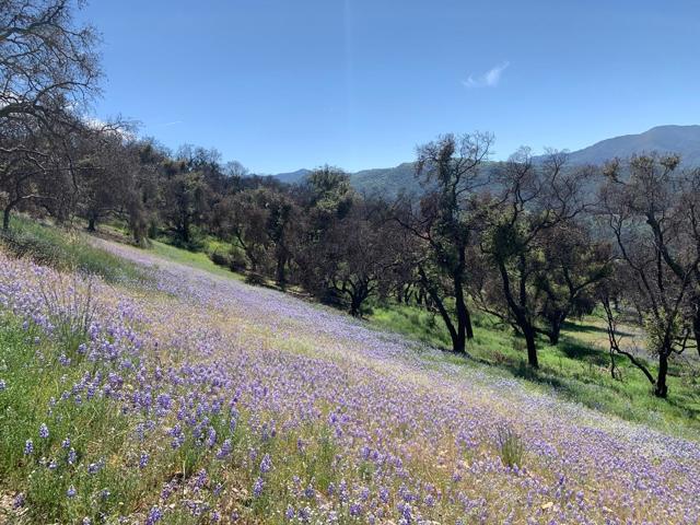 0 Cachagua, Carmel Valley CA: https://media.crmls.org/mediaz/81bbce3b-9b6f-40d1-8526-6dfbfa0d0ce3.jpg