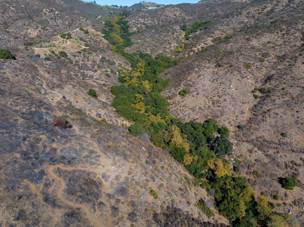 MLS #250022588SD img 1