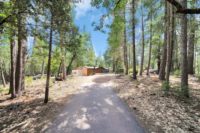 13567 Raccoon Mountain Rd, Grass Valley CA: https://media.crmls.org/mediaz/81c441b2-f4e9-4da2-93cd-0dcaab9ab5aa.jpg