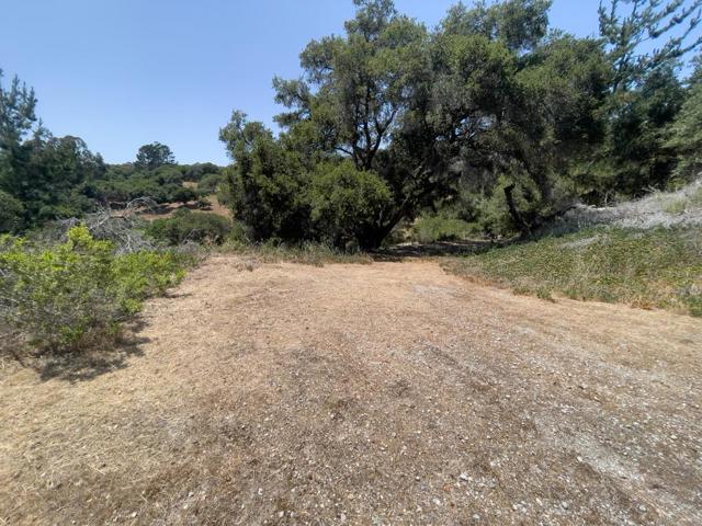 58 Desmond Road, Salinas CA: https://media.crmls.org/mediaz/81c6a070-d634-492a-b9f8-0cd53d257d2f.jpg