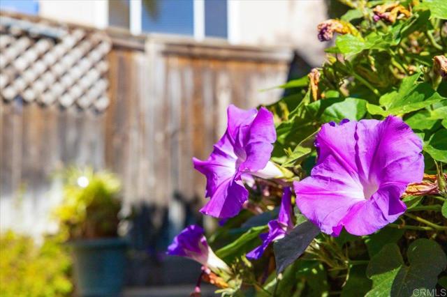 Detail Gallery Image 42 of 47 For 230 Venetia Way, Oceanside,  CA 92057 - 3 Beds | 2/1 Baths