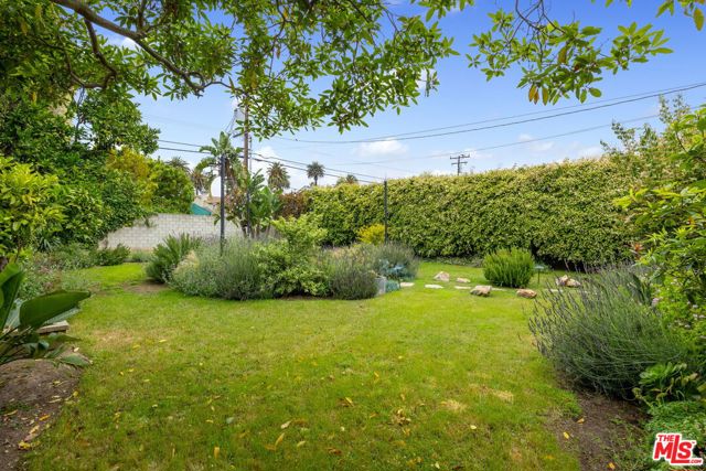 227 Alta Avenue photo 8