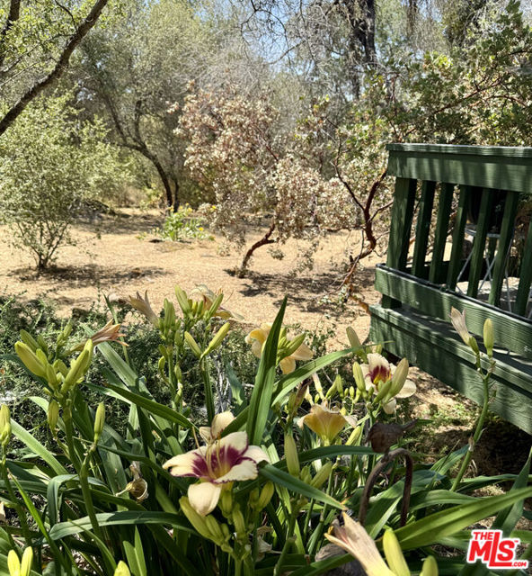 31199 Rolling Meadow Court, Coarsegold CA: https://media.crmls.org/mediaz/81cb298e-c14b-4376-9a1a-025dede4d561.jpg