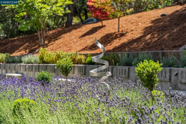 6 Greenwood Ct, Orinda CA: https://media.crmls.org/mediaz/81d66da5-0654-46fc-8552-3dabf03023cc.jpg