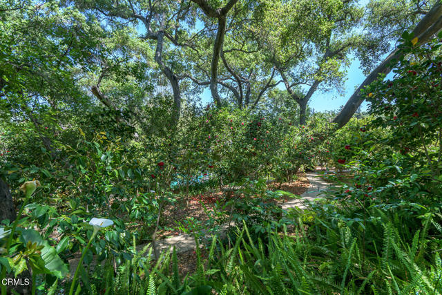 Detail Gallery Image 50 of 58 For 4131 Encinas Dr, La Canada Flintridge,  CA 91011 - 3 Beds | 2 Baths