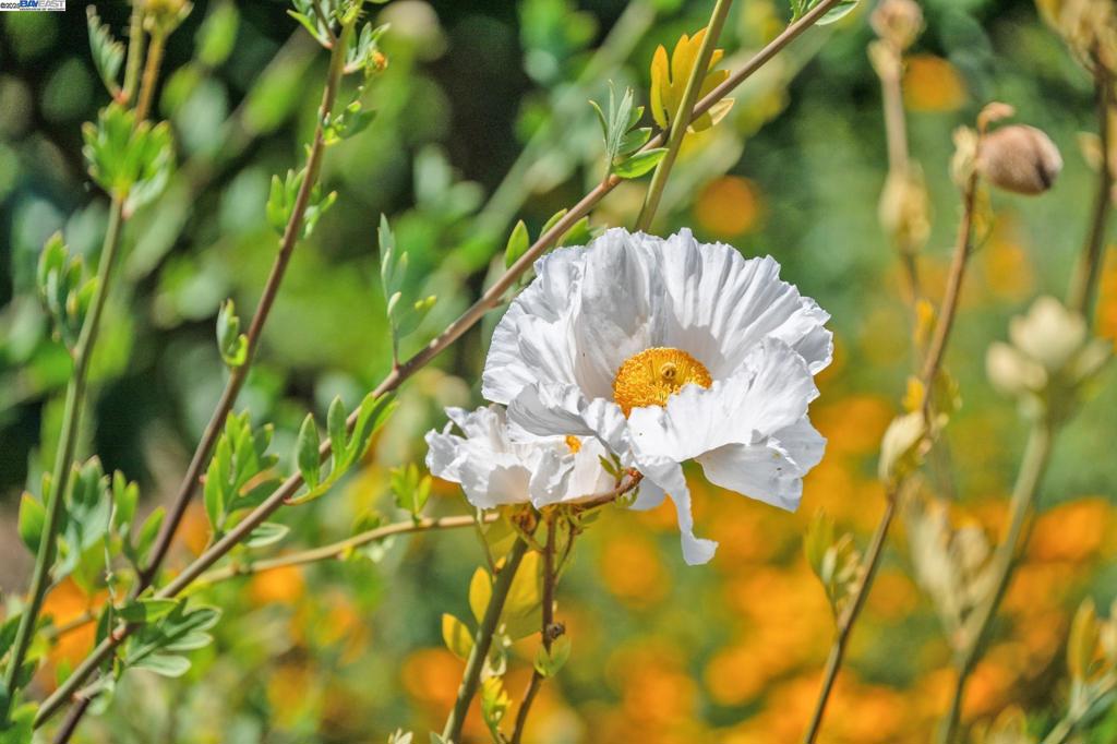 https://media.crmls.org/mediaz/81d89d6a-596f-4b12-8516-61a67487f3b2.jpg?preset=X-Large