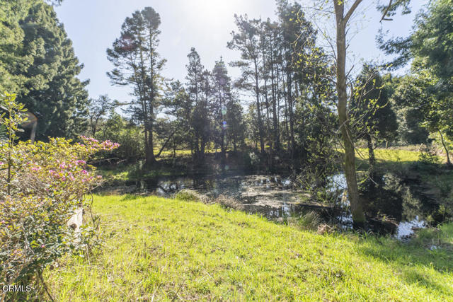 32551 Mill Creek Drive, Fort Bragg CA: https://media.crmls.org/mediaz/81de92ab-60f3-48be-a95d-5fd93a1dc10d.jpg