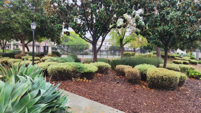 171 Kenbrook Circle, San Jose CA: https://media.crmls.org/mediaz/81e05a11-5c61-43ad-b648-4b5e8a0baffd.jpg