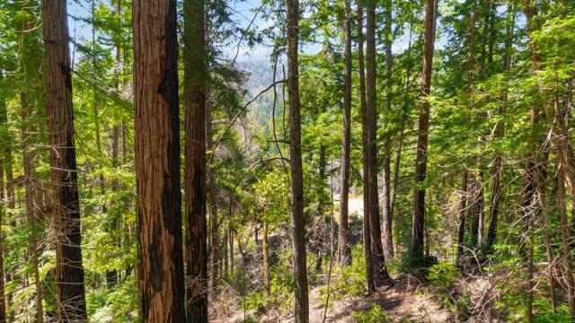 3 Bloom Grade, Boulder Creek CA: https://media.crmls.org/mediaz/81e7097b-990d-4f5a-8da1-3e02d8970792.jpg