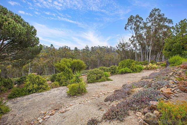 10751 Oakbend Dr, San Diego CA: https://media.crmls.org/mediaz/81f6bcb3-76e5-4562-99bf-e9dd4563b12c.jpg
