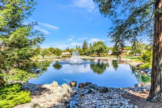 8411 Chenin Blanc Lane, San Jose CA: https://media.crmls.org/mediaz/8200ea30-6bcc-4cb0-8389-093c0dcf9946.jpg