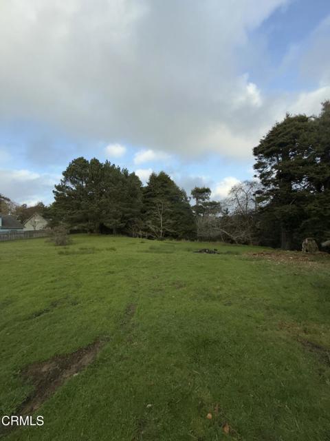 596 S Sanderson Way, Fort Bragg CA: https://media.crmls.org/mediaz/8201281a-88e6-4132-aae3-e18b5be86d98.jpg