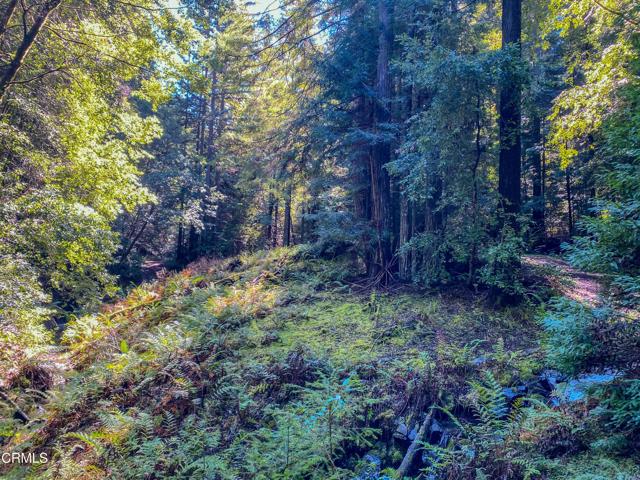 0 Irmulco Road, Willits CA: https://media.crmls.org/mediaz/8206a585-00ec-4c92-b3a6-3970c8cb94b9.jpg