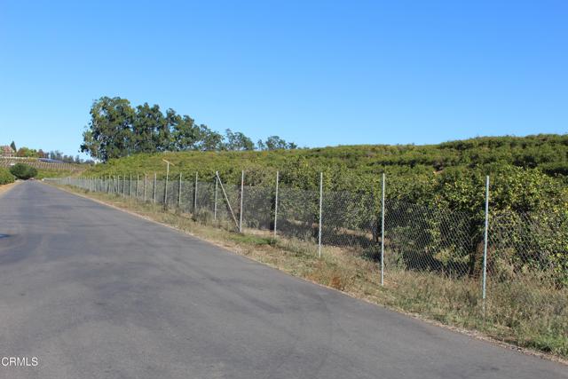 Detail Gallery Image 12 of 15 For 4363 Sand Canyon Rd, Somis,  CA 93066 - – Beds | – Baths