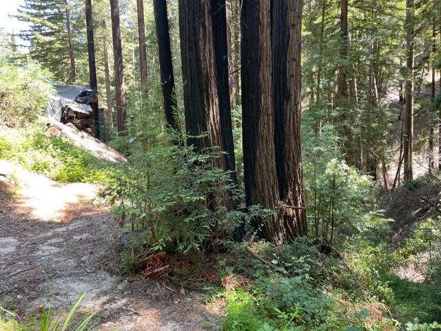 506 Sunset Road, Boulder Creek CA: https://media.crmls.org/mediaz/820bc1cb-314d-4b30-96f7-cb299b970260.jpg