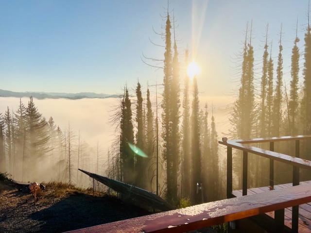 518 Container Way, Boulder Creek CA: https://media.crmls.org/mediaz/82253c4b-9830-4efe-b68f-ba942fc521aa.jpg