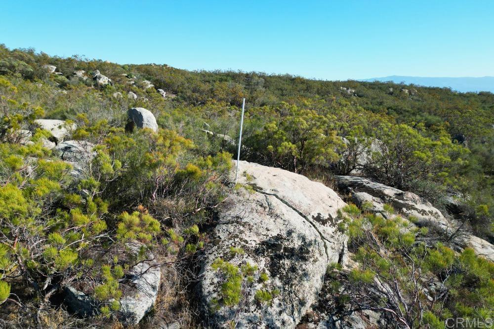 MLS #PTP2507282 image #47