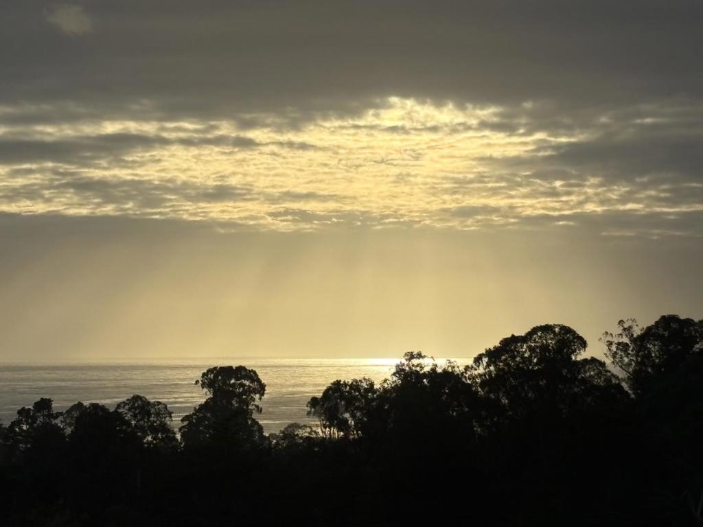 https://media.crmls.org/mediaz/82363161-a6e1-40f6-b0b8-a7f0b11efa78.jpg?preset=X-Large